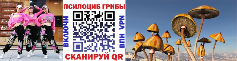 купить MEGA сайт Галлюциногенные грибы Cubensis Орлов