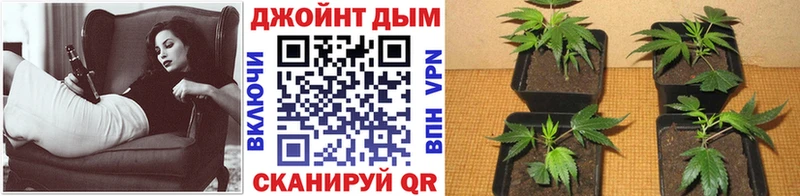 Марихуана VHQ Орлов